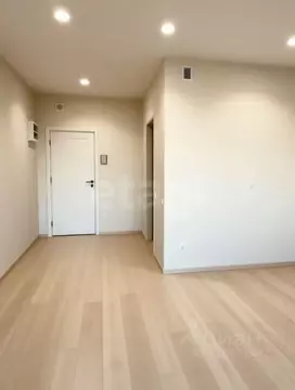 Студия Воронежская область, Воронеж наб. Чуева, 7 (27.05 м)