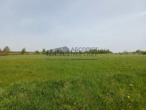 Участок в Новгородская область, Новгородский район, Трубичинское ...