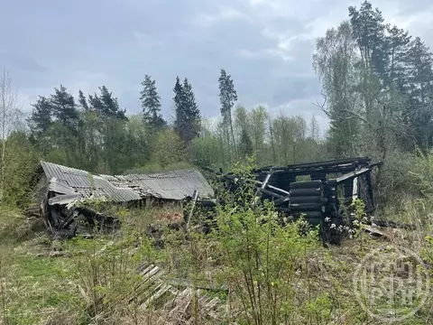 Дом в Псковская область, Опочка  (38 м)