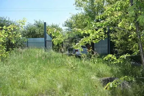 Участок в Воронежская область, Рамонский район, Новоживотинновское ...