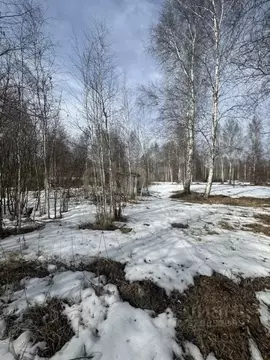 Участок в Тюменская область, Нижнетавдинский муниципальный округ, ...