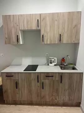 Студия Санкт-Петербург Богатырский просп., 2А (26.5 м)