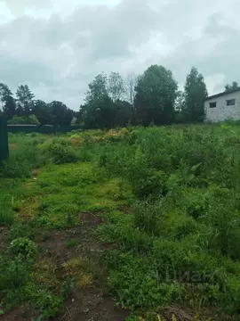 Участок в Московская область, Клин городской округ, с. Нагорное 10Б ...