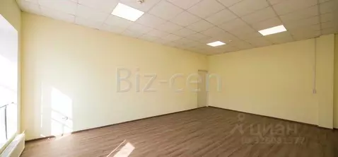 Офис в Санкт-Петербург 17-я Васильевского острова линия, 4-6В (17 м)