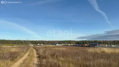 Участок в муниципальное образование Новосельское, деревня Черноситово ...