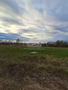 Участок в Новгородская область, Новгородский район, Савинское с/пос, ...