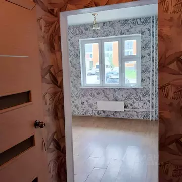 Студия Новосибирская область, Новосибирск ул. Одоевского, 1/8 (21.0 м)