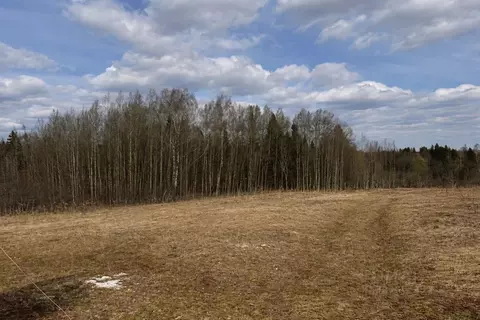 Участок в Пермский край, Нытвенский муниципальный округ, Нива-2 СНТ 94 ...