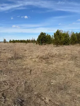 Участок в Свердловская область, Белоярский муниципальный округ, с. ...