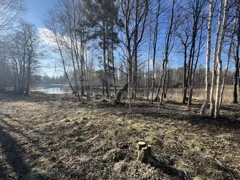 Участок в Ленинградская область, Приозерский район, Мельниковское ...