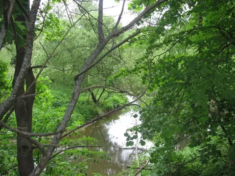 Участок в Тульская область, Заокский район, Малаховское муниципальное ...