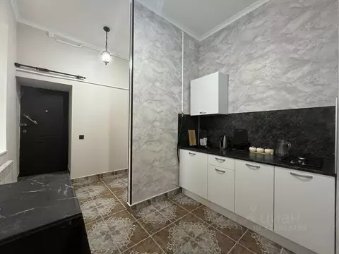 1-к кв. Санкт-Петербург Лиговский просп., 166 (25.0 м)