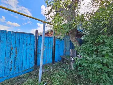 Участок в Омская область, Калачинск ул. Островского, 53 (4.9 сот.)