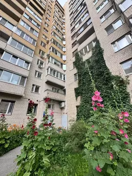 3-к кв. Санкт-Петербург ул. Типанова, 38 (63.0 м)
