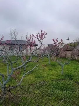 Участок в Крым, Феодосия Геотехник СПК, ул. Клубничная (8.0 сот.)