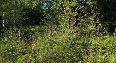 Участок в Ленинградская область, Всеволожский район, Лесколовское ...