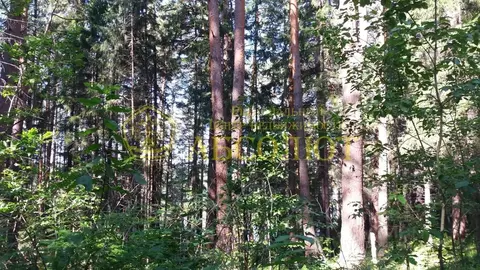 Участок в Свердловская область, Ревда городской округ, пос. Ледянка  ...