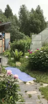 Дом в Нижегородская область, Бор муниципальный округ, д. Орешки 6 (70 ...