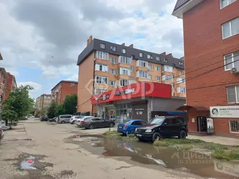 Помещение свободного назначения в Краснодарский край, Краснодар ...