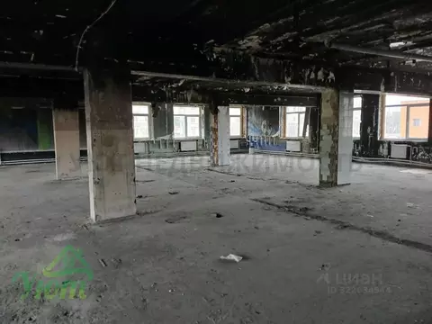 Помещение свободного назначения в Московская область, Раменское ...