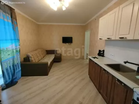 Квартира-студия: Омск, улица Мишина, 2 (26.2 м)