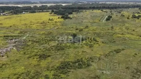 Участок в Калининградская область, Зеленоградский муниципальный округ, ...
