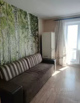 Студия Челябинская область, Челябинск Омская ул., 26 (24.1 м)