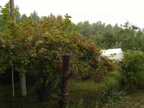 Участок в Нижегородская область, Богородский муниципальный округ, д. ...