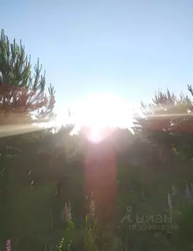 Участок в Пермский край, Пермский муниципальный округ, д. Мысы  (30.57 ...