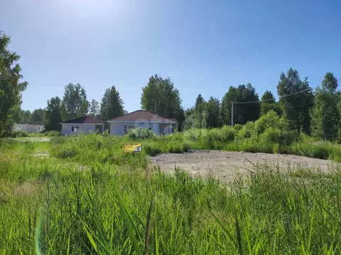 Участок в Тюменская область, Нижнетавдинский муниципальный округ, с. ...