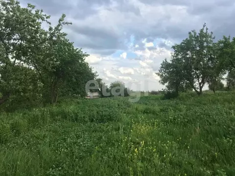 Участок в Брянская область, Брянский район, Мичуринское с/пос, ...