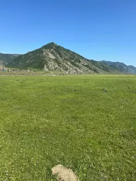 Участок в Алтай, Чемальский район, с. Куюс ул. Бозурташ (10.0 сот.)