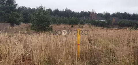 Участок в Ярославская область, Некрасовский муниципальный округ, с. ...