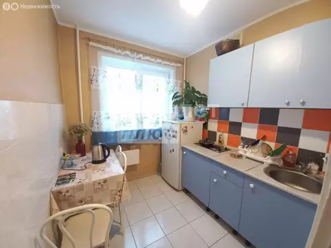 1-комнатная квартира: Новосибирск, Гусинобродское шоссе, 11 (29.5 м)