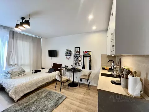 Студия Москва Ижорская ул., 6к1 (23.5 м)
