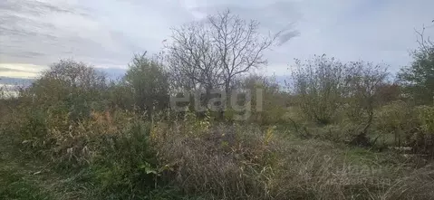 Участок в Краснодарский край, Белореченск Ветерок СОТ,  (9.01 сот.)