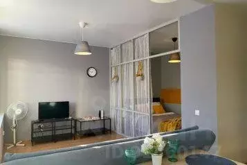 1-к кв. Ленинградская область, Гатчина Пушкинское ш., 13к4 (43.0 м)