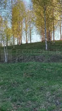 Участок в Новгородская область, Валдайский район, Короцкое с/пос, д. ...