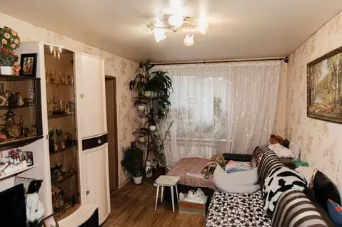 2-к кв. Тульская область, Тула пос. Косая Гора, Луговая ул., 16 (46.3 ...