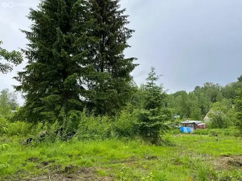 Участок в Сосновское сельское поселение, массив Новожилово (12 м)