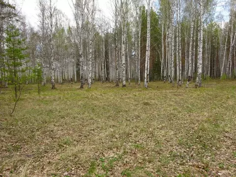 Участок в Свердловская область, Ревда муниципальный округ, пос. ...