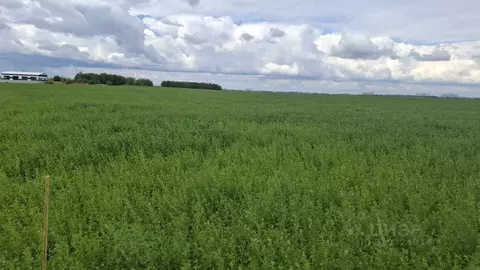 Участок в Чувашия, Чебоксарский муниципальный округ, Синьяльское с/пос ...