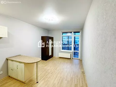 Квартира-студия: Санкт-Петербург, улица Адмирала Черокова, 18к2 (26.1 ...