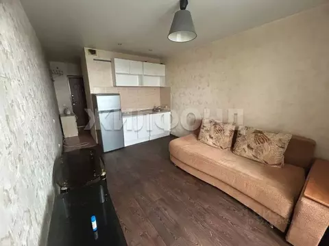 1-к кв. Новосибирская область, Новосибирск ул. Виктора Уса, 9 (19.3 м)