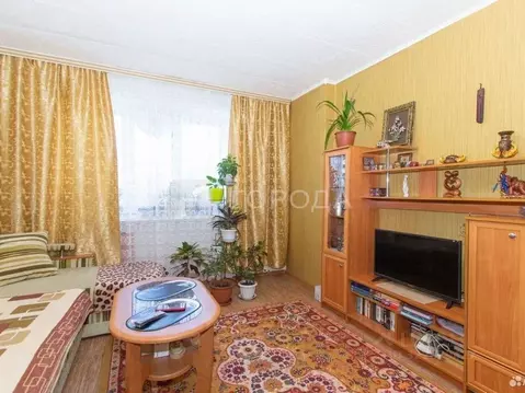 1-к кв. Новосибирская область, Новосибирск ул. Сибиряков-Гвардейцев, ...