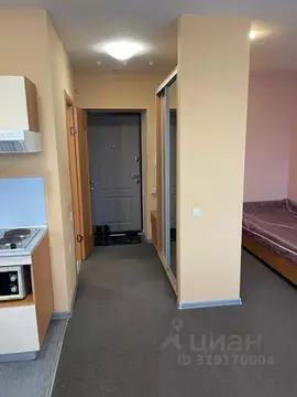 Студия Татарстан, Казань просп. Победы, 90 (26.0 м)