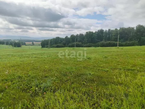 Участок в Красноярский край, Емельяново пгт ул. Родниковая (730.9 ...