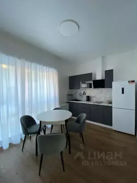 Студия Псковская область, Псков Советская ул., 29Г (44.0 м)