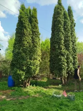Участок в Московская область, Раменский муниципальный округ, ...