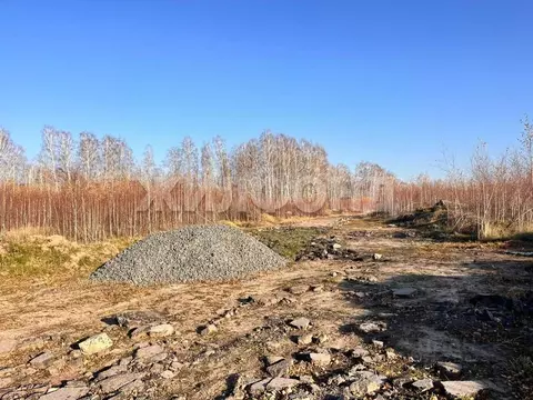 Участок в Новосибирская область, Новосибирский район, Станционный ...